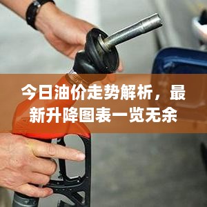 今日油价走势解析，最新升降图表一览无余！