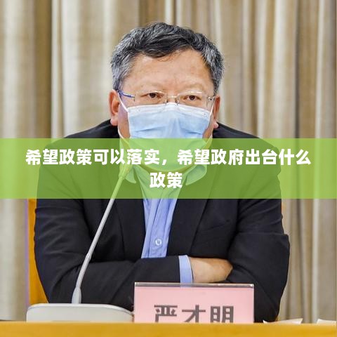 希望政策可以落实，希望政府出台什么政策 