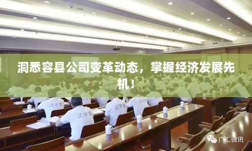 洞悉容县公司变革动态，掌握经济发展先机！