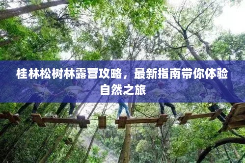 桂林松树林露营攻略，最新指南带你体验自然之旅