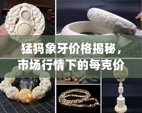 猛犸象牙价格揭秘，市场行情下的每克价格是多少？