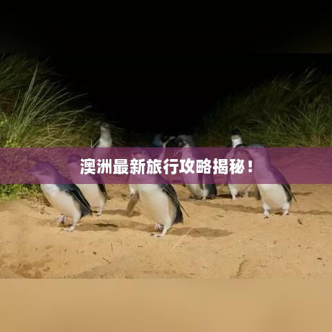 澳洲最新旅行攻略揭秘！