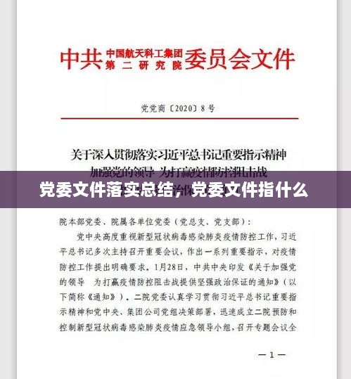 党委文件落实总结，党委文件指什么 