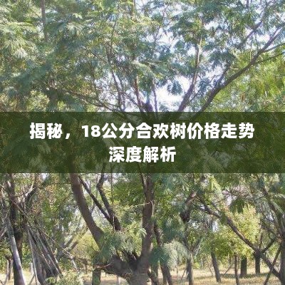 揭秘，18公分合欢树价格走势深度解析