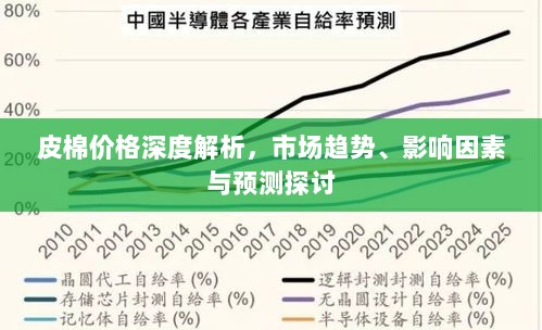 皮棉价格深度解析，市场趋势、影响因素与预测探讨