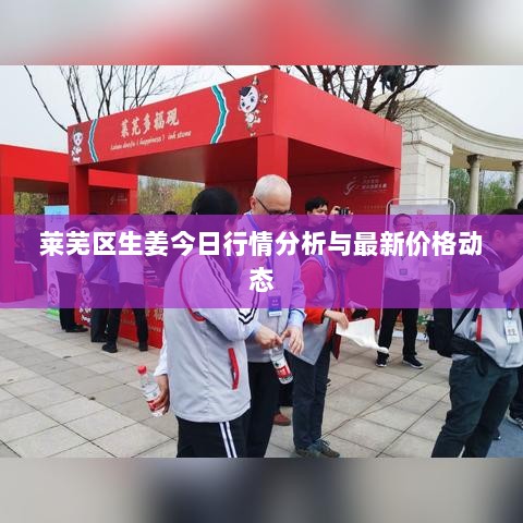 莱芜区生姜今日行情分析与最新价格动态