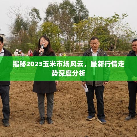 揭秘2023玉米市场风云，最新行情走势深度分析