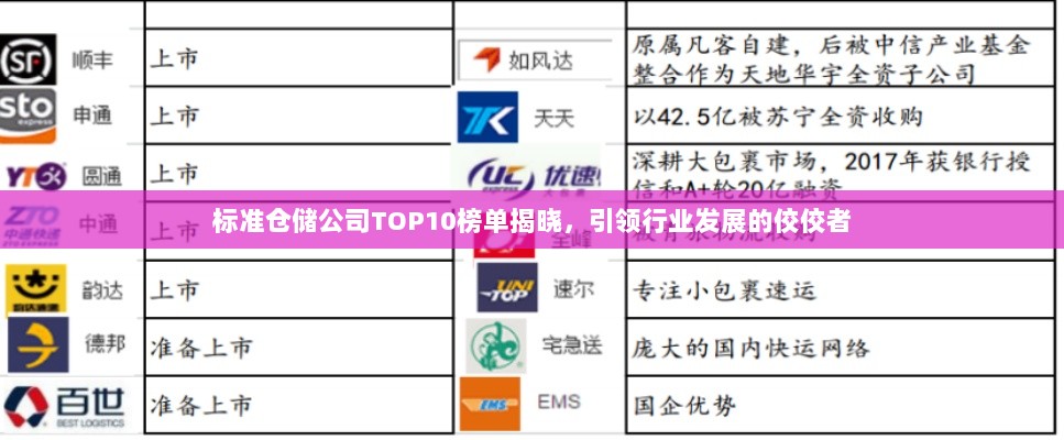 标准仓储公司TOP10榜单揭晓，引领行业发展的佼佼者