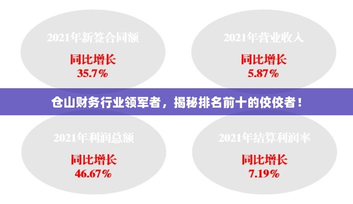 仓山财务行业领军者，揭秘排名前十的佼佼者！