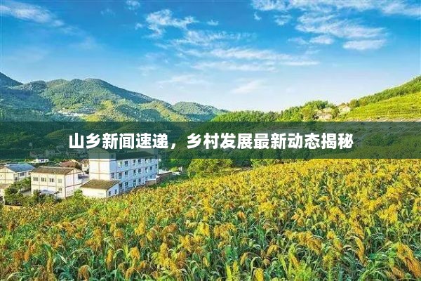 山乡新闻速递，乡村发展最新动态揭秘