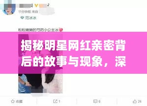 揭秘明星网红亲密背后的故事与现象，深度解析网红社交圈的秘密