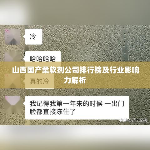 山西国产柔软剂公司排行榜及行业影响力解析