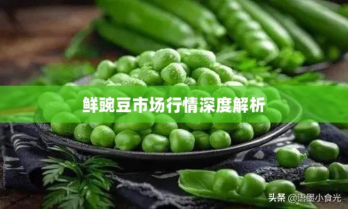 鲜豌豆市场行情深度解析