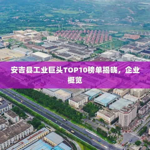 安吉县工业巨头TOP10榜单揭晓，企业概览