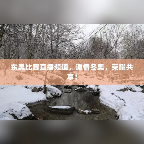 东奥比赛直播频道，激情冬奥，荣耀共享！