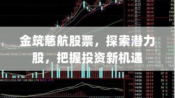 金筑慈航股票，探索潜力股，把握投资新机遇