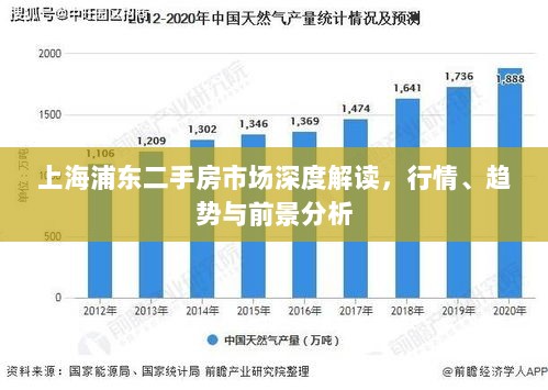 上海浦东二手房市场深度解读，行情、趋势与前景分析