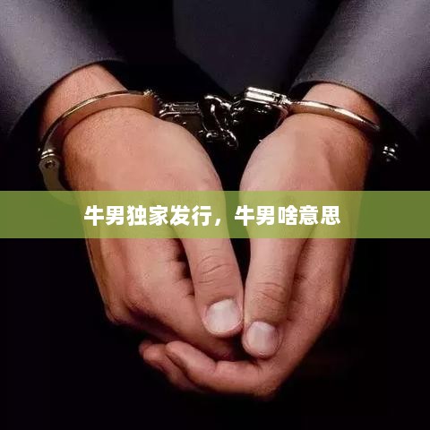 牛男独家发行，牛男啥意思 