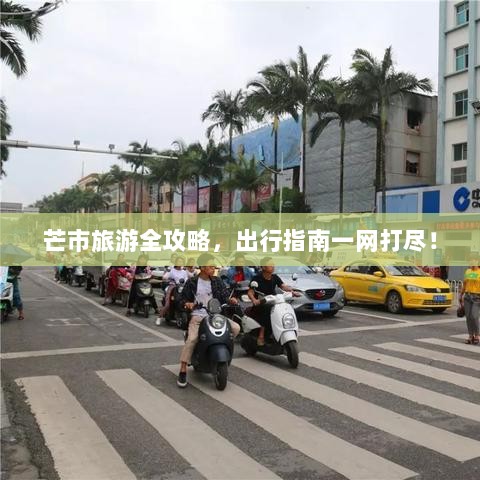 芒市旅游全攻略，出行指南一网打尽！