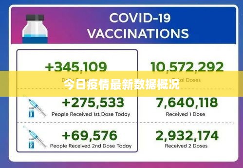 今日疫情最新数据概况