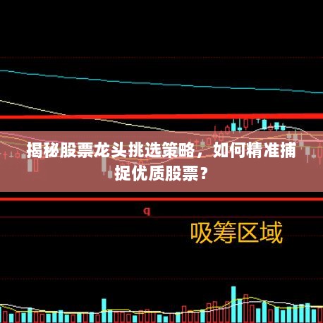 揭秘股票龙头挑选策略，如何精准捕捉优质股票？