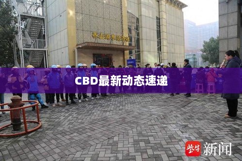 CBD最新动态速递