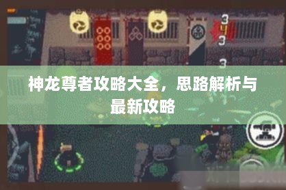 神龙尊者攻略大全，思路解析与最新攻略