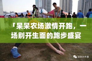 「呆呆农场激情开跑，一场别开生面的跑步盛宴」