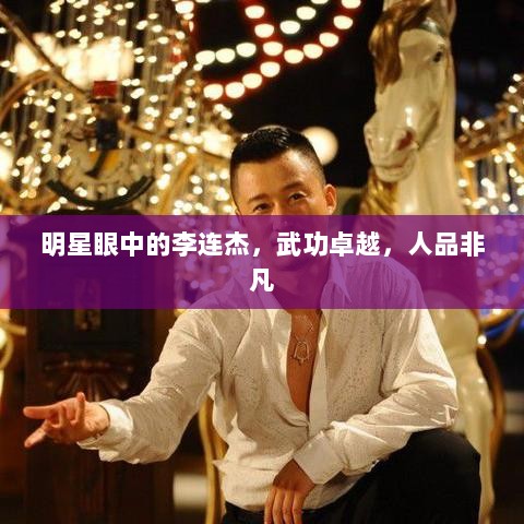 明星眼中的李连杰，武功卓越，人品非凡