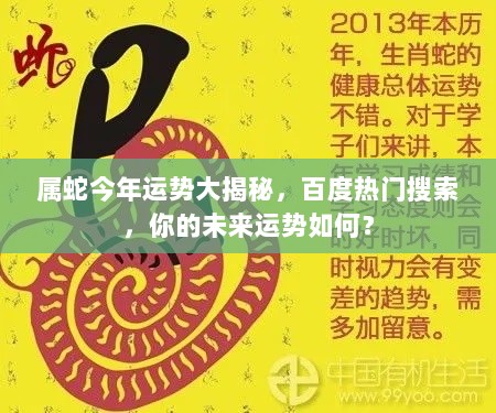 属蛇今年运势大揭秘，百度热门搜索，你的未来运势如何？