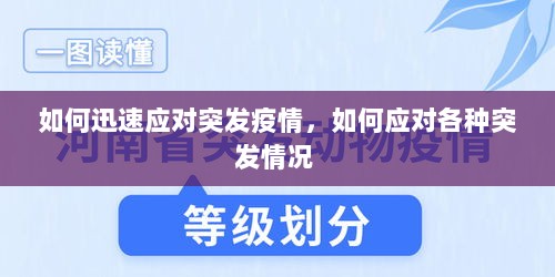 如何迅速应对突发疫情，如何应对各种突发情况 