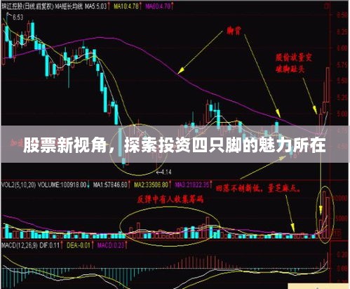 股票新视角，探索投资四只脚的魅力所在