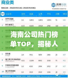 海南公司热门榜单TOP，揭秘人气排名背后的故事