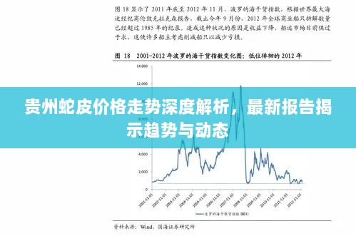 贵州蛇皮价格走势深度解析，最新报告揭示趋势与动态