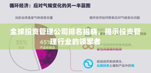 全球投资管理公司排名揭晓，揭示投资管理行业的领军者