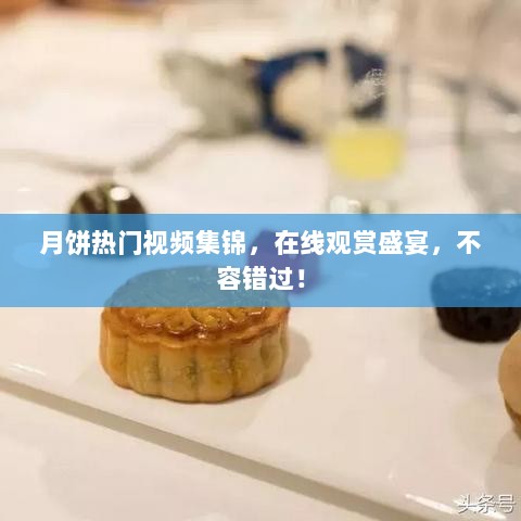 月饼热门视频集锦，在线观赏盛宴，不容错过！