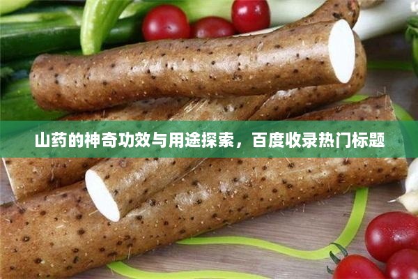 山药的神奇功效与用途探索，百度收录热门标题