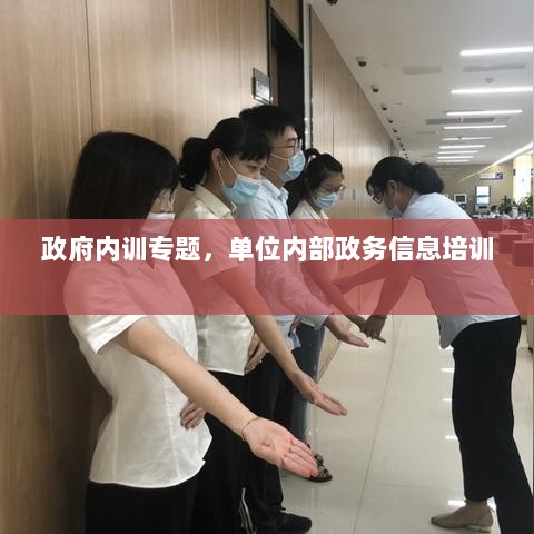 政府内训专题，单位内部政务信息培训 