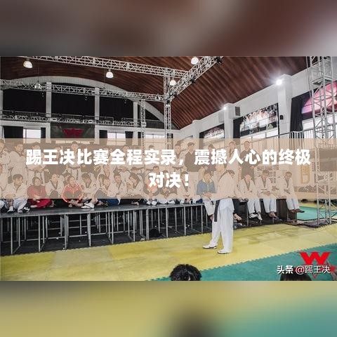 踢王决比赛全程实录，震撼人心的终极对决！