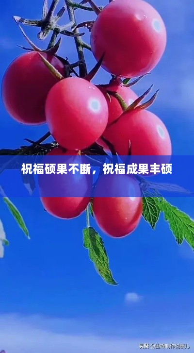 祝福硕果不断，祝福成果丰硕 