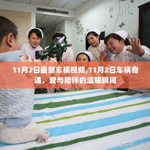 11月2日车祸瞬间见证爱与陪伴的温暖时刻