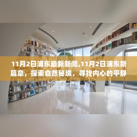 11月2日浦东新篇章，探索自然秘境，寻找内心平静的新闻之旅