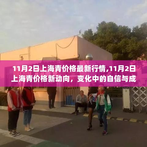 11月2日上海青价格新动向，变化中的自信与成就之歌