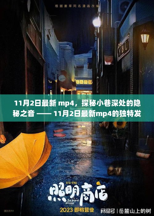 11月2日最新发现，探秘小巷深处的隐秘之音MP4独特记录