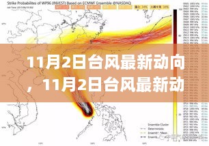 11月2日台风最新动向，城市隐秘小巷特色小店探秘之旅