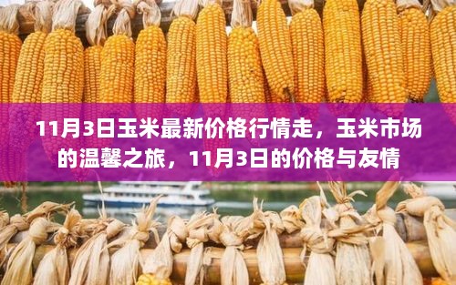 11月3日玉米市场价格行情与友情共融的温馨之旅