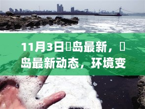 鳼岛最新动态，环境变化与生态保护的见解