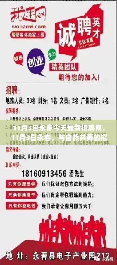 11月3日永春最新招聘信息，与自然共舞的招聘之旅