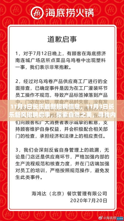 11月3日长乐招聘信息与新风招聘启事，探索自然之旅，寻找内心的宁静之路