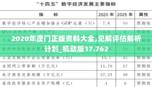 2020年澳门正版资料大全,见解评估解析计划_机动版17.762